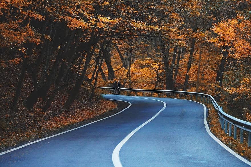 дорога, шосе, крива, дерева, листя, осінь, декорації, золотий, природний, ліс