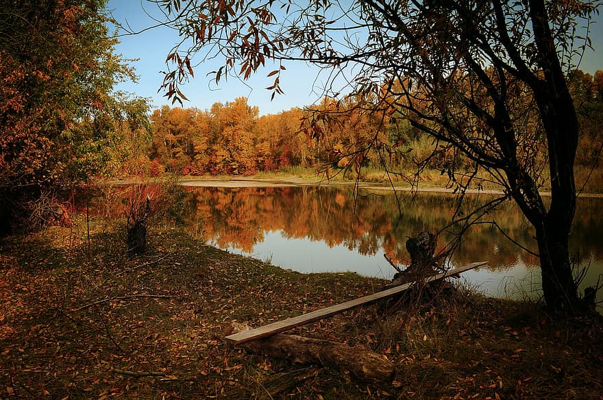 ruduo, upė, miškas, medžiai, miškai, lapai, nukritę lapai, rudens lapai, rudens lapija, atspindėjimas, atspindys