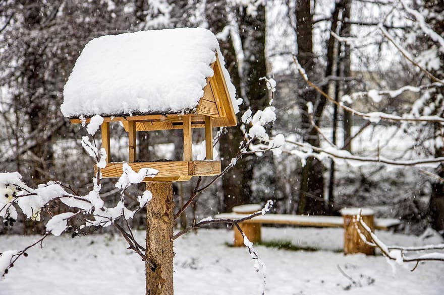 karmnik dla ptaków, śnieg, zimowy, drzewa, zaspa, podajnik, dom ptaków, Natura