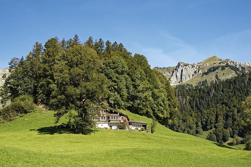 スイス、サンクトガレン州、アルプス、風景、トゥール、家、建物、丘、山岳、森林、木