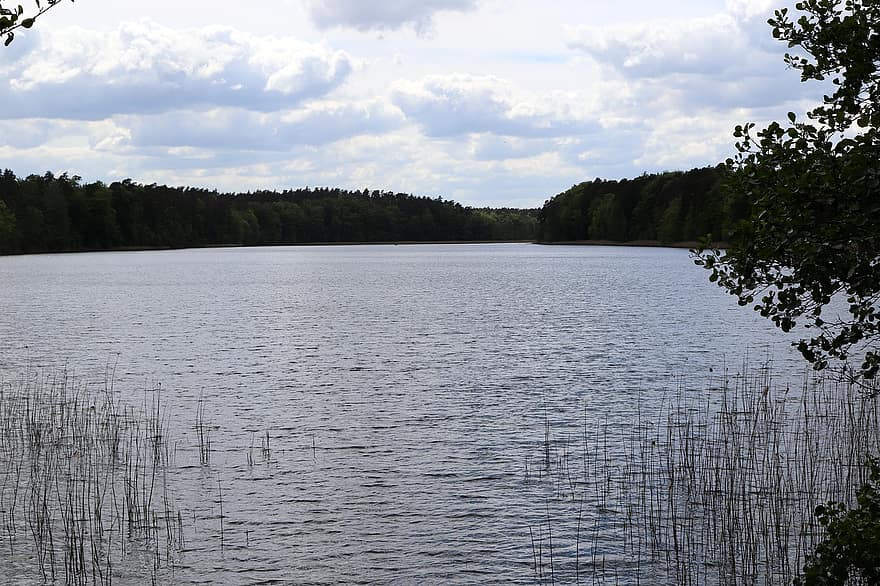 Lac, eaux, eau, la nature, paysage, ambiance, Uckermark