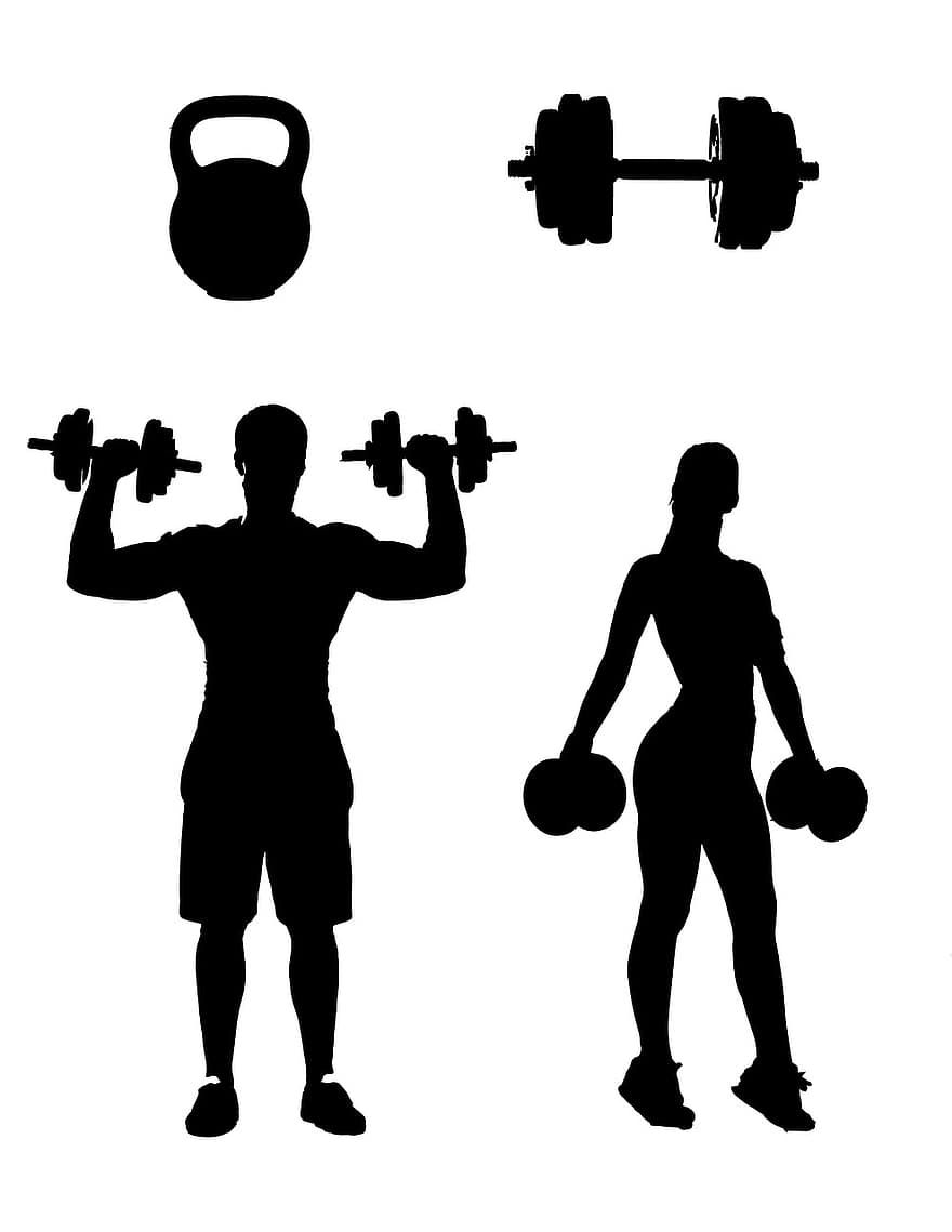 alkalmasság, emberek, gyakorlat, test, illő, kiképzés, edzés, izmok, erős, tornaterem, Sport