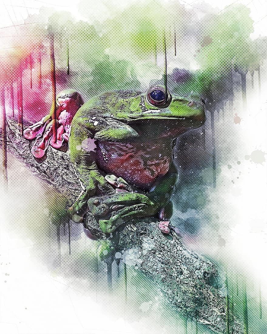 Frog, Animal, Photo Art, Green Frog, Amphibian, Wildlife, Branch, Fauna, Nature, Ninh Binh, Creature