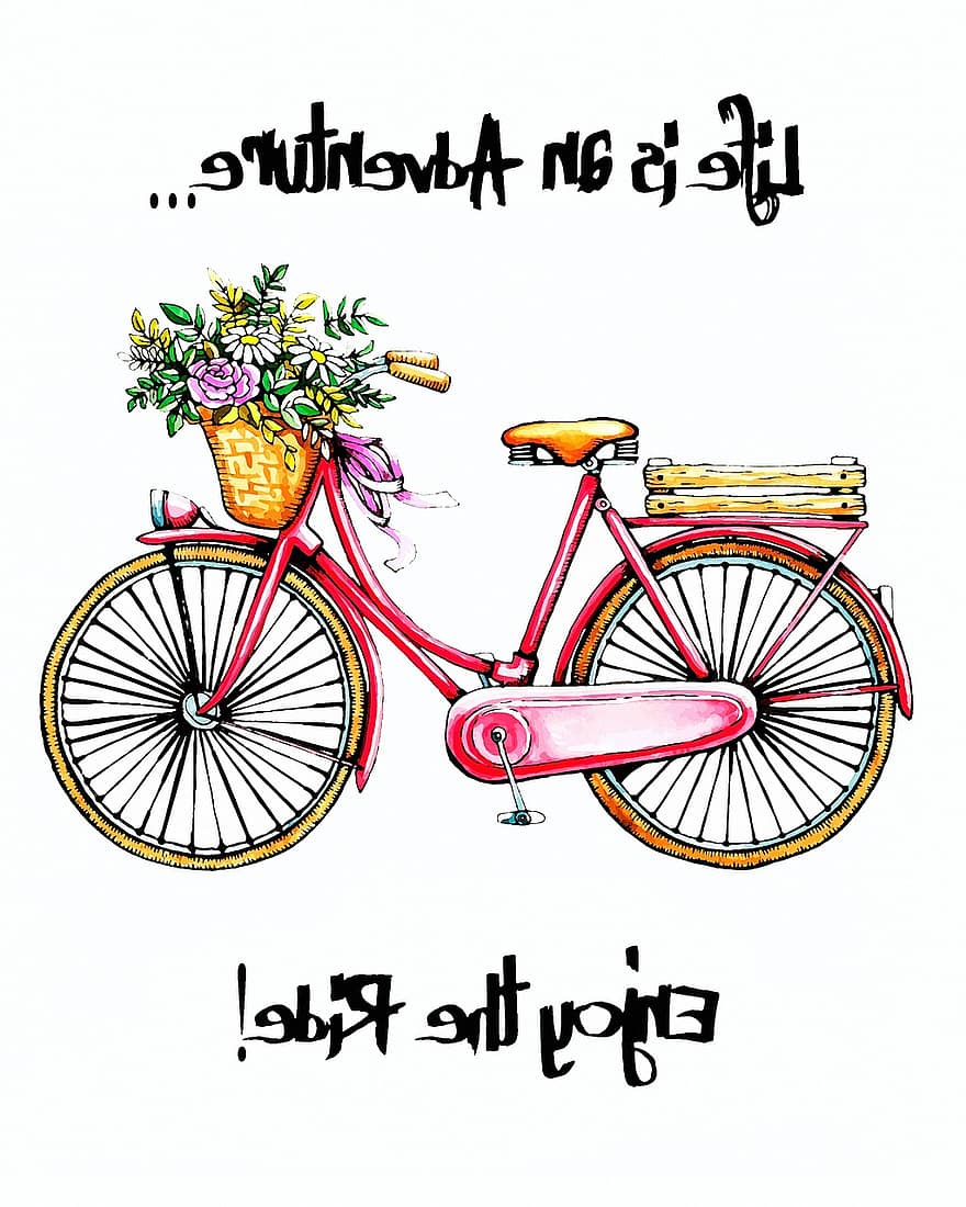 rower, Życie jest przygodą, Miłej podróży, kosz, kwiaty, lato, na wolnym powietrzu, młody, pojazd, cykl, jazda konna