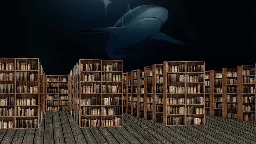 бібліотека, книги, мудрість, знання, акула, дерево, ніч, в приміщенні, полиця, великий, склад