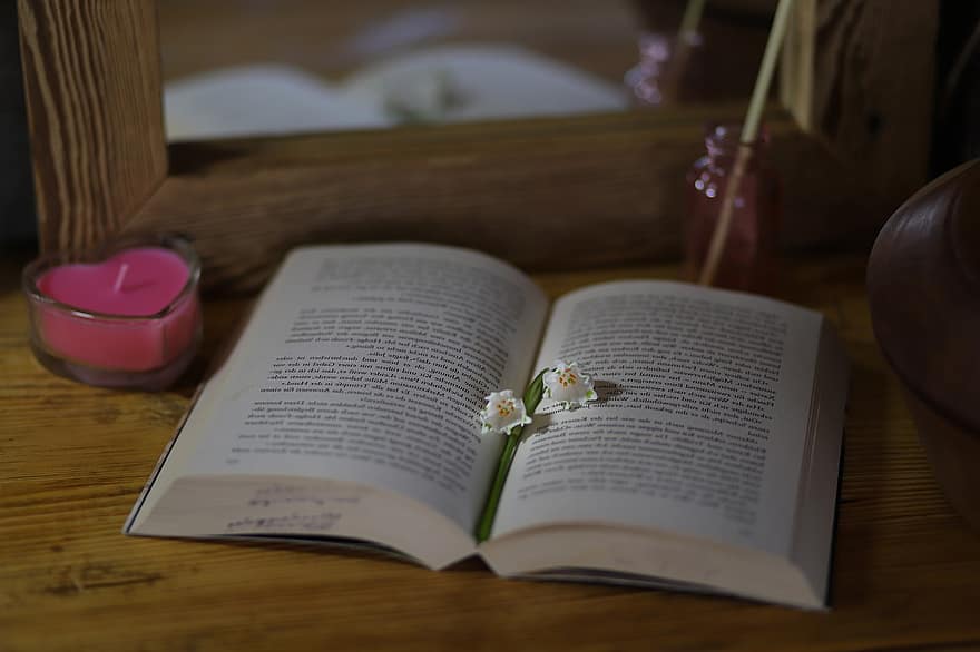 Book, Reading, Literature, Old Book, Still Life, Reading Room, Open Book, Rustic Aesthetic, bible, christianity, religion
