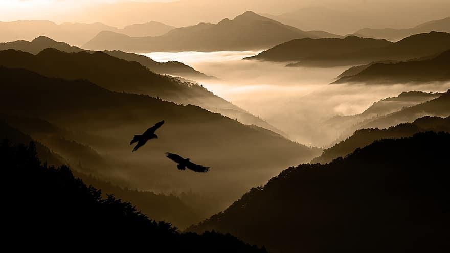 планини, птици, мъгла, залез, животни, летене, силует, връх, пейзаж, природа, небе