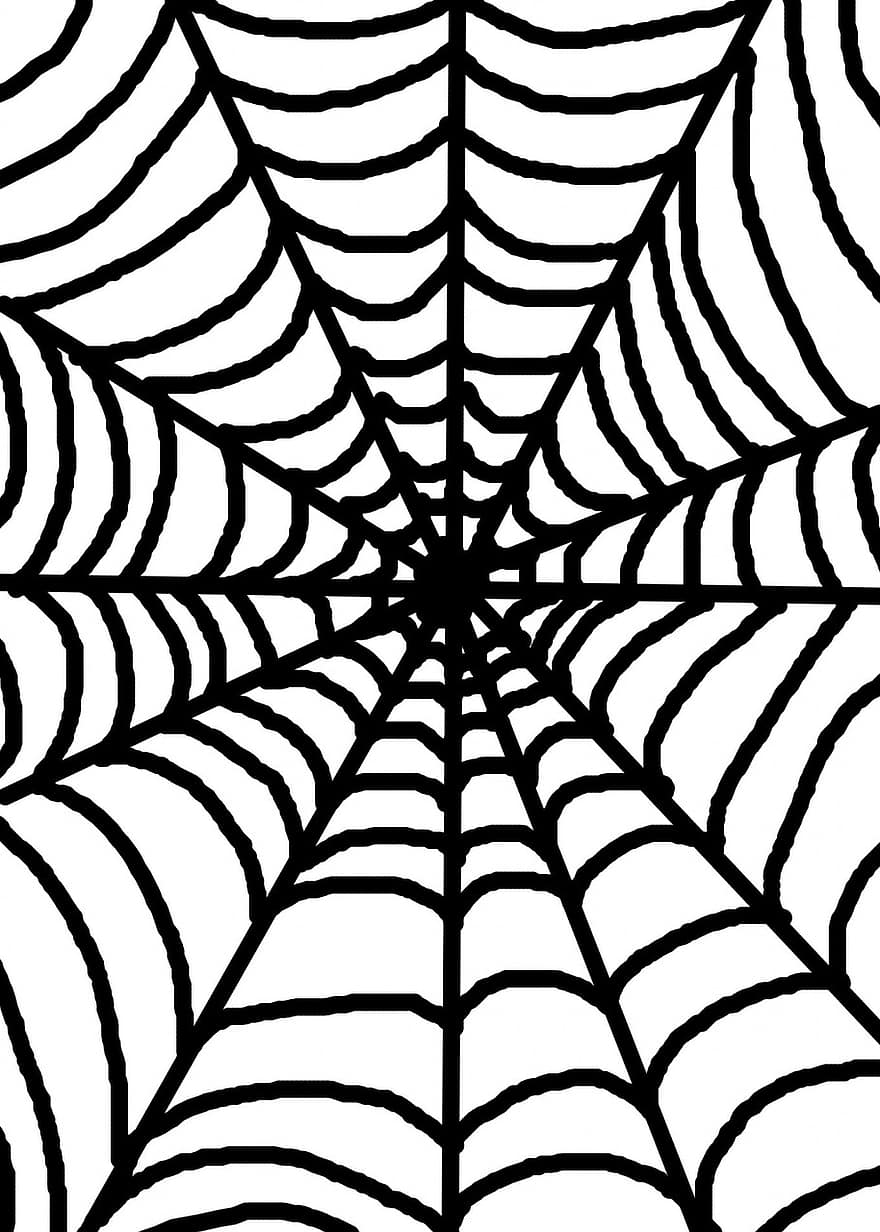 alb, păianjen, web, negru, fundal, bântuit, infricosator, Halloween