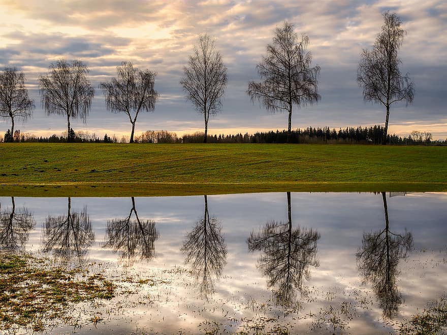 Hill, Trees, Reflection, Pond, Water, Flood, Trough, Meadow, Grass, Field, Forest