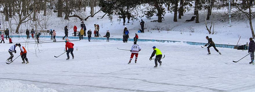 sport, gra, hokej, aktywny, czynność, zimowy