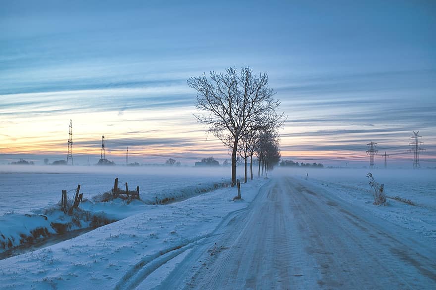 neige, champ, horizon, le coucher du soleil, ciel, des arbres, rue, route, bordée d'arbres, champs de neige, givre