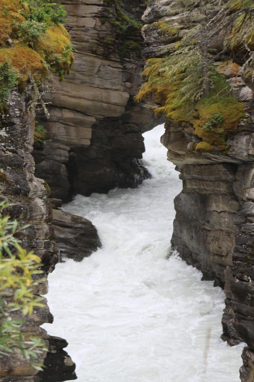 झरना, नदी, पहाड़ों, Athabasca, Athabasca गिर जाता है, कनाडा, अल्बर्टा, सूर्यकांत मणि, प्रकृति, रॉकी पर्वत, परिदृश्य