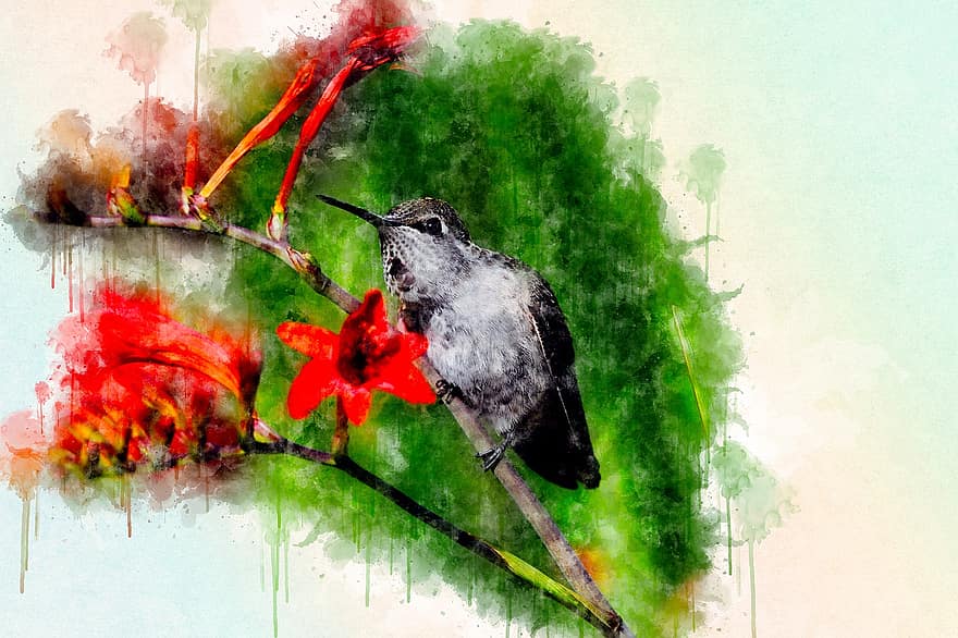 colibrí, ocell, pintura, art, obra d'art, posat, animal, plomes, plomatge, bec, factura