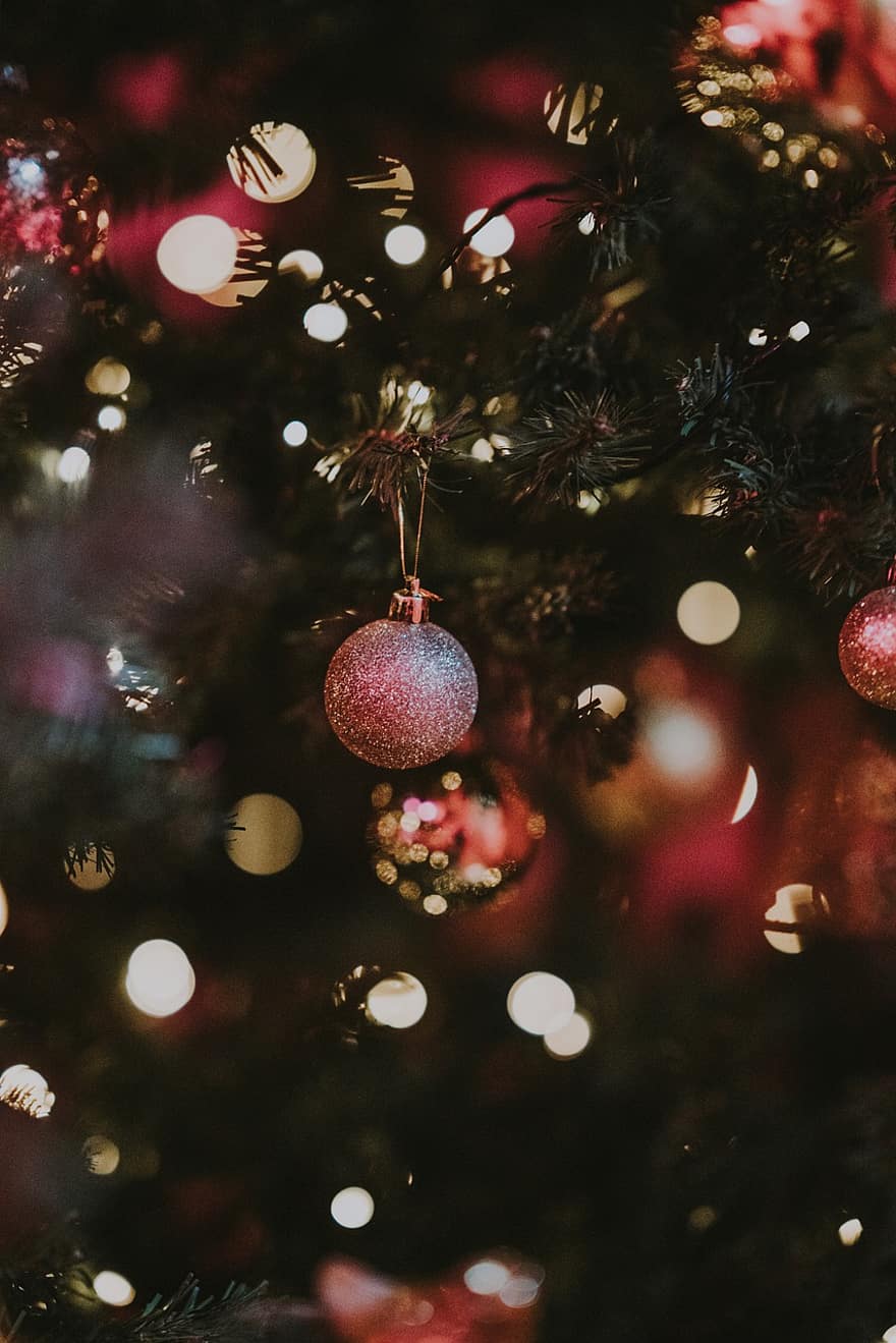 Crăciun, ornamente, Brad de Crăciun, Crăciun mingea, Crăciun botez, glob de Craciun, decor de Crăciun, festiv, bokeh