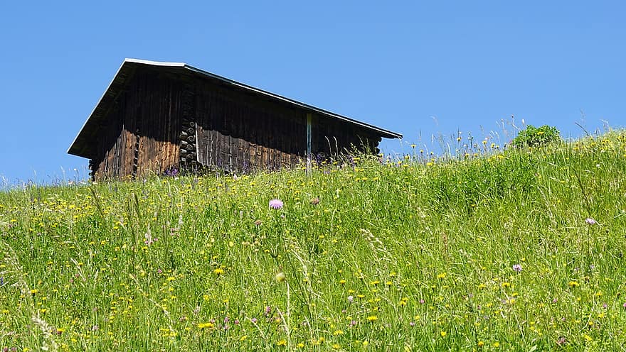 Flower Meadow, Barn, Mountains, Spring, Grass, Field, Rural, Countryside, Nature, meadow, rural scene