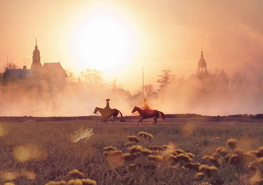 les chevaux, monter à cheval, galopant, chevaux au galop, champ, Prairie, prairie, brouillard, brouillard du matin, brume, brumeux