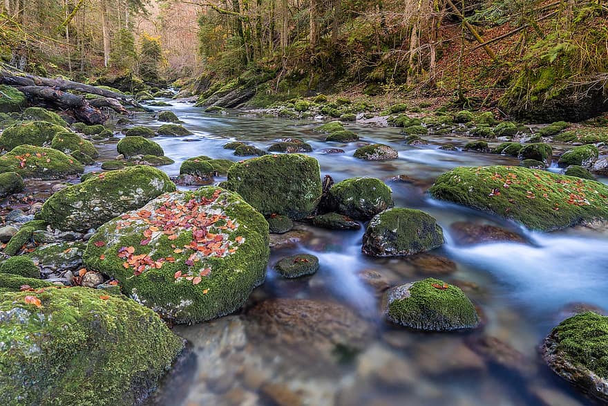 Rocks, Stream, Brook, Bach, Nature, Landscape, Flow, Flowing Water, Long Exposure, Moss, Mossy