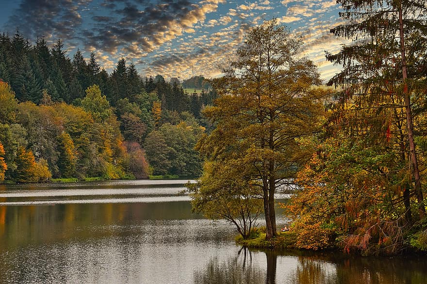 湖、木、森林、紅葉、色落ち、落葉、秋の季節、雲、空、自然