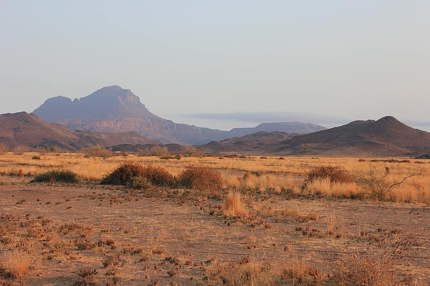 safari, pradera, pasto, sabana, cerros, África, Namibia