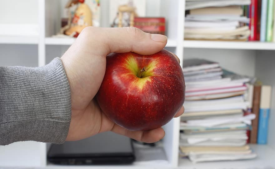 सेब, लाल सेब, फल, पुस्ताक तख्ता, पौष्टिक भोजन, खाना, क्लोज़ अप, ताज़गी, घर के अंदर, मानव का हाथ, पकड़े