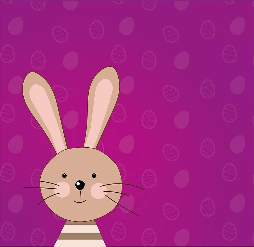 Pasqua, conill de Pasqua, ous, primavera, tema de pasqua, decoració, decoració de pasqua, salutacions de pasqua, conill, bonic