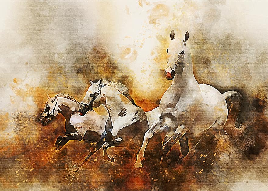 heste, pattedyr, dyr, natur, indenlandske, løb, bisse, digital maleri, manipulation, fotokunst, brun kunst
