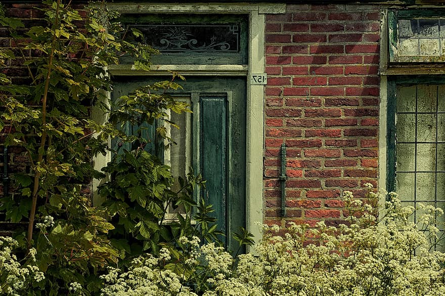 House, Facade, Old, Plants, Overgrown, Window, Architecture, Door, Brick Wall, wall, building feature