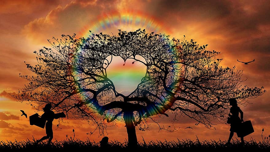 orgullo, lgbtq, igualdad, arco iris, paisaje, naturaleza, árbol, amor, LGBT, puesta de sol, silueta