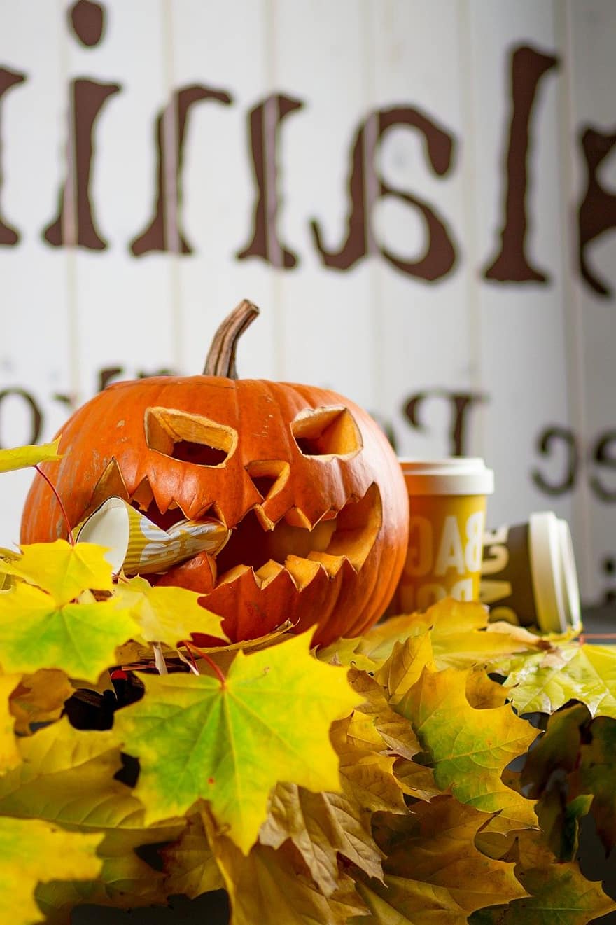 labu, halloween, dekorasi halloween, musim gugur, daun, Oktober, musim, kuning, menyeramkan, latar belakang, alam