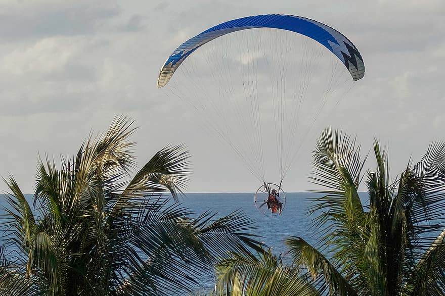 Yhdysvallat, Florida, varjoliito, laskuvarjo, seikkailu, Urheilu, paraglider, lentäminen, lento, palmuja, meri