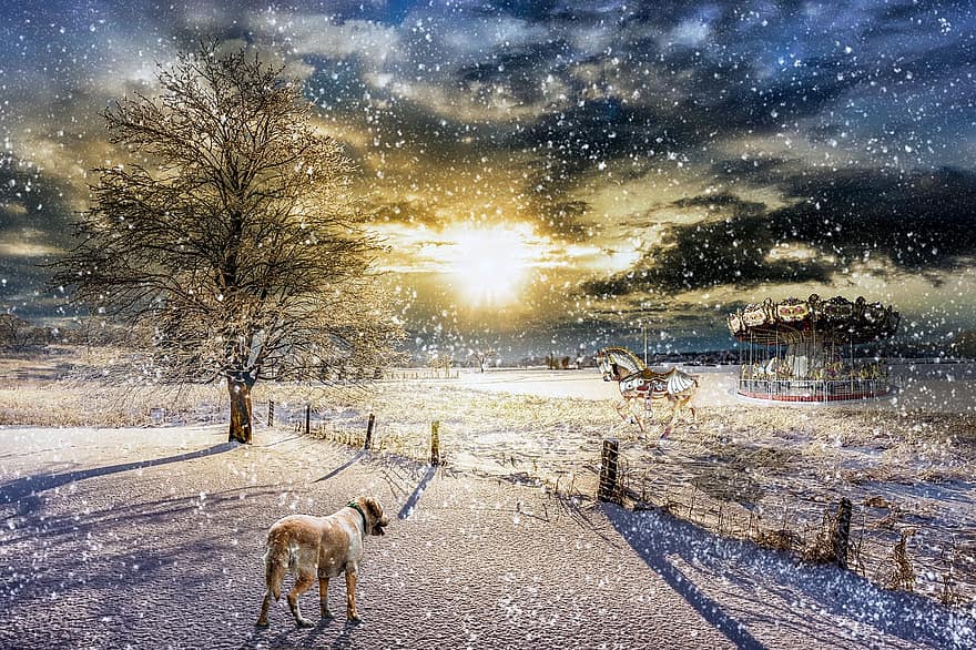 снег, пейзаж, зима, собака, карусель, лошадь, фантастика, заход солнца, темные облака, синие облака, синее небо