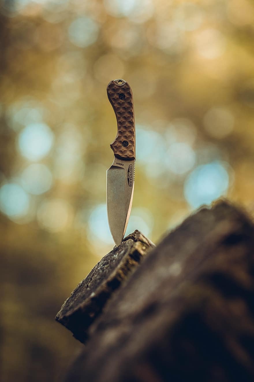 Knife, Forest, Wood, Nature, metal, steel, close-up, weapon, sharp, blade, equipment