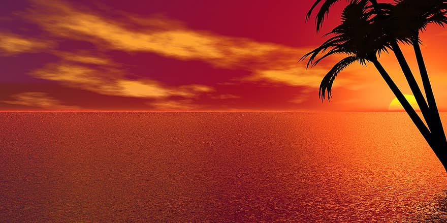 palma, mare, vacanze, tramonto, umore, caraibico, sole