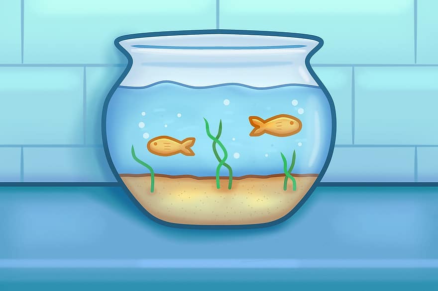 круглый аквариум, рыба, домашнее животное, животные, плавать, воды, аквариум, пузырьки, песок