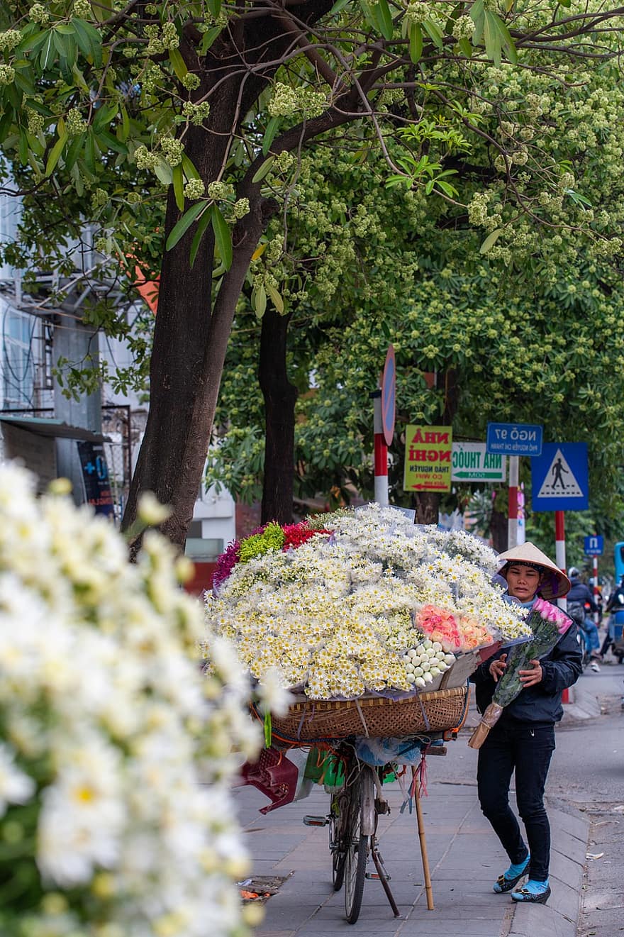 straatverkoper, bloemen, Hanoi, stadsleven, boeketten, bloemenmarkt, straat