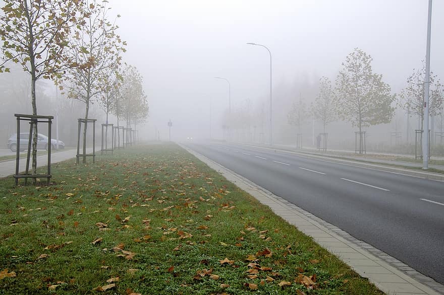 sätt, gata, träd, stad, dimman, morgon-, gräs, lampor, stadsgata, asfalt, asfaltväg