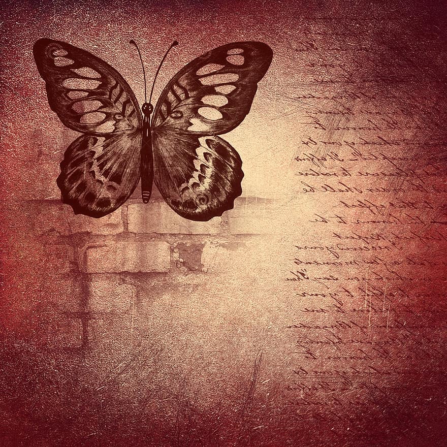 Background, Brown, Red, Grunge, Vintage, Scratches, Old, Letter, Text, Butterfly, Structure
