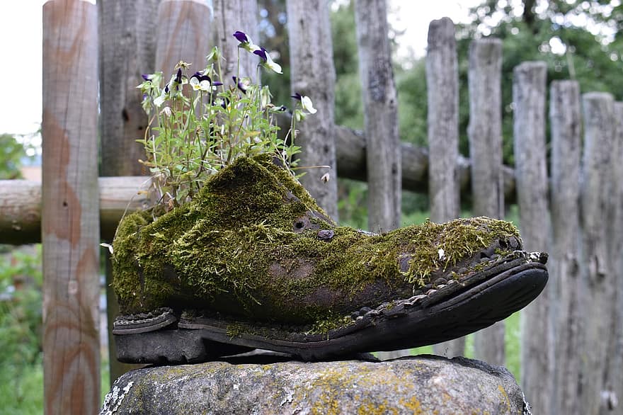 Jardinera de zapatos, jardín, musgo, plantas