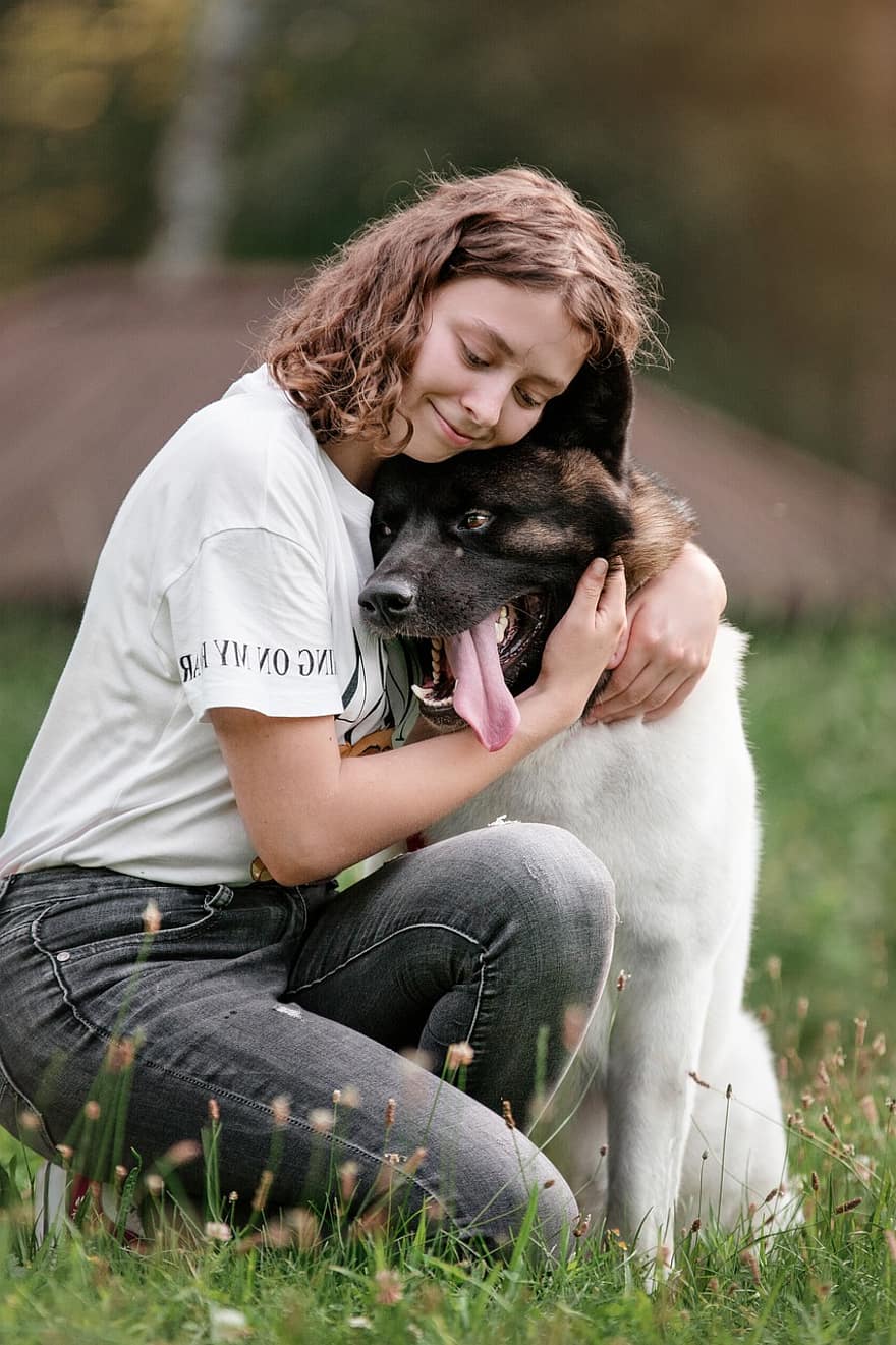 cão, menina, amor, animal, proprietário, companheiro, amigos, amizade, feliz, akita, retrato