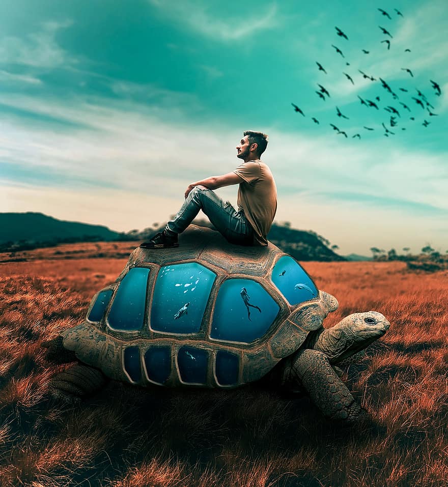 костенурка, мъж, седя, седнал, фантазия, под вода, плуване, поле, пасище, композиция, природа