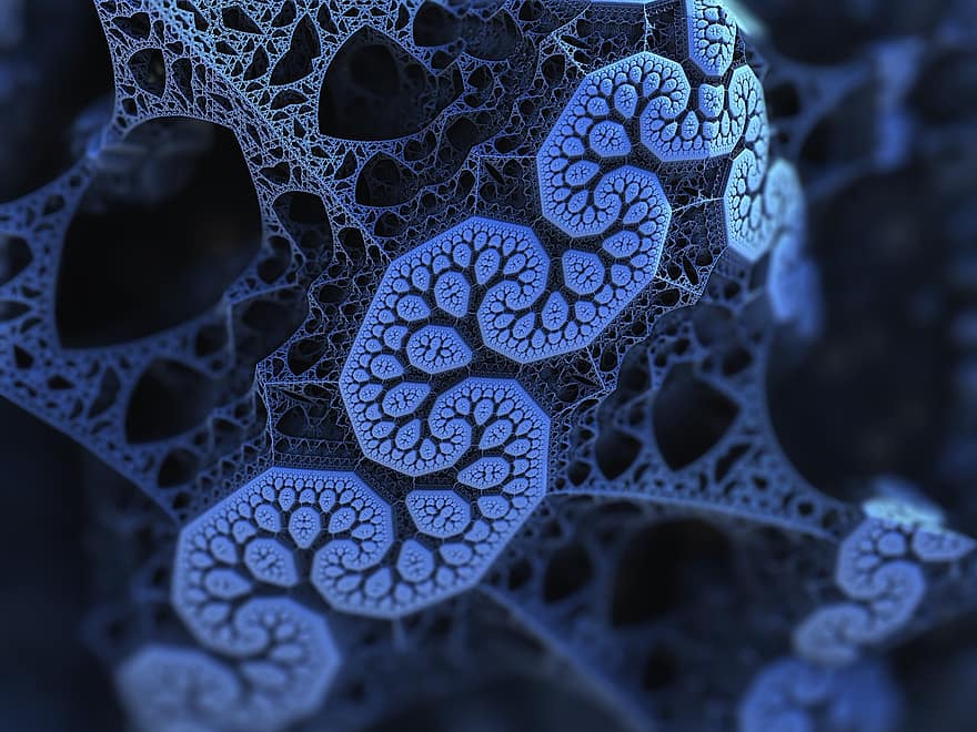 kết cấu, môn Toán, sinh học, mạng lưới, thuộc về khoa học, fractal, Mạng màu xanh lam
