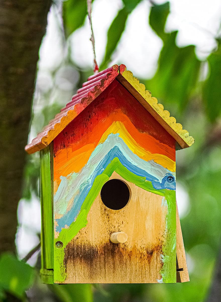 alimentador de pássaros, casa do pássaro, Comedouro de pássaros de madeira, natureza, parque