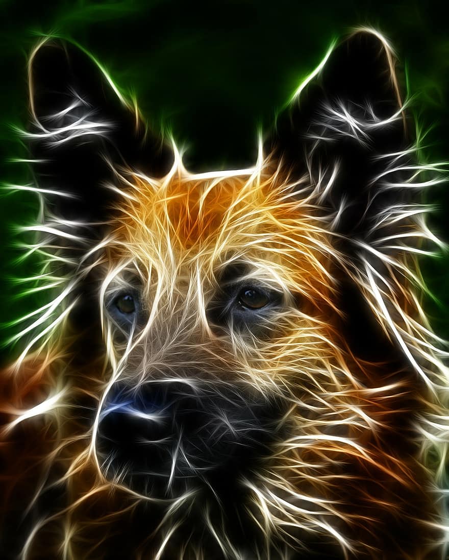 köpek, Schäfer Dog, resim düzenleme, grafik, saç, çevre, ağız, portre
