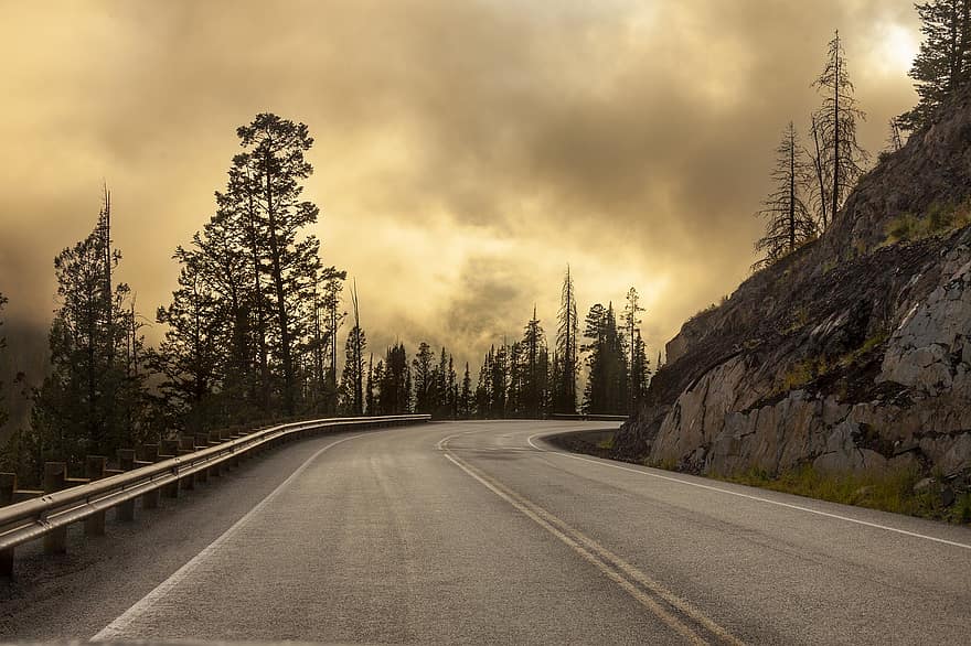 Road, Nature, Trees, Outdoors, Travel, Exploration, Yellowstone, Landscape, Morning, Fog, Wallpaper