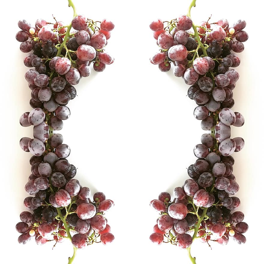 les raisins, fruits, fruits mûrs, espace de copie