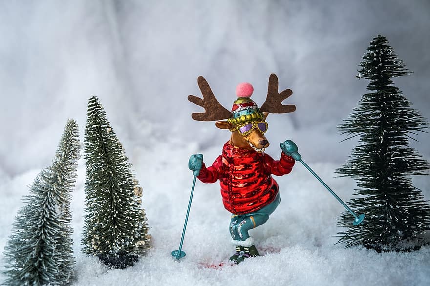 Moose, Reindeer, Figure, Comic, Ski, Sports, Alpine, Snow, Winter, Trip, Mountain