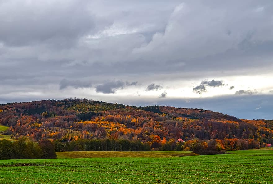 villaggio, foresta, collina, campo, Sudeti, autunno, Repubblica Ceca, natura, paesaggio, giornata nuvolosa, scena rurale