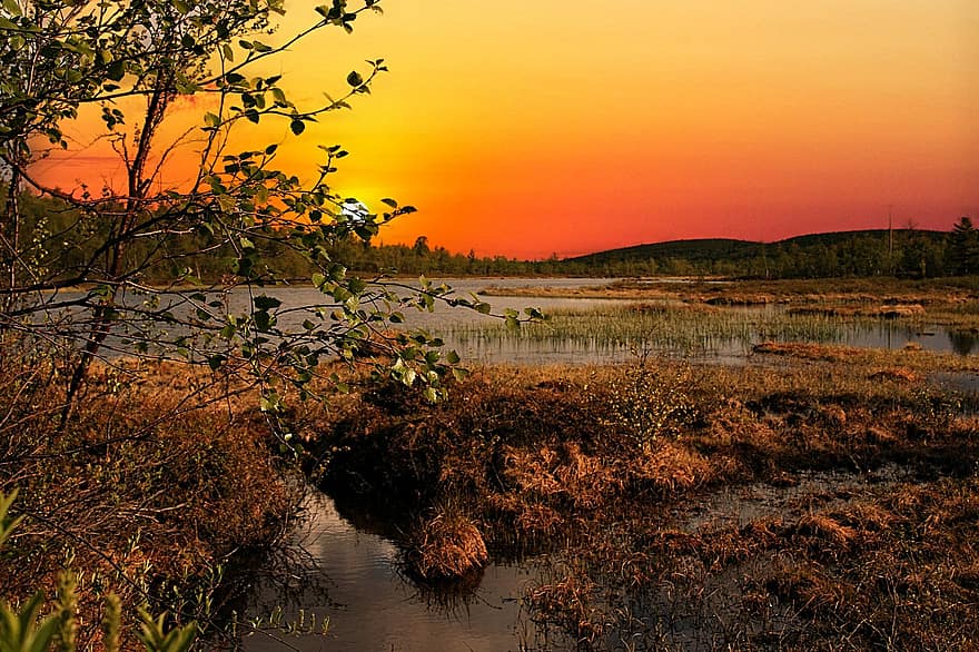 Sunset, Tundra, Lapland, Nature, Swamp, Wetland