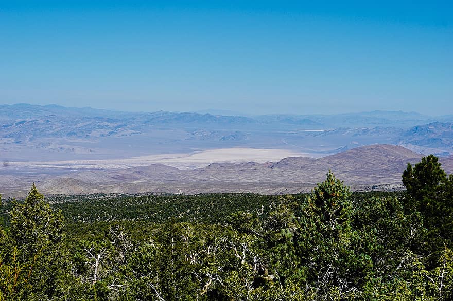 tájkép, hegyek, természet, hegység, Látvány, színpadi, fák, lombozat, erdő, Nevada, USA