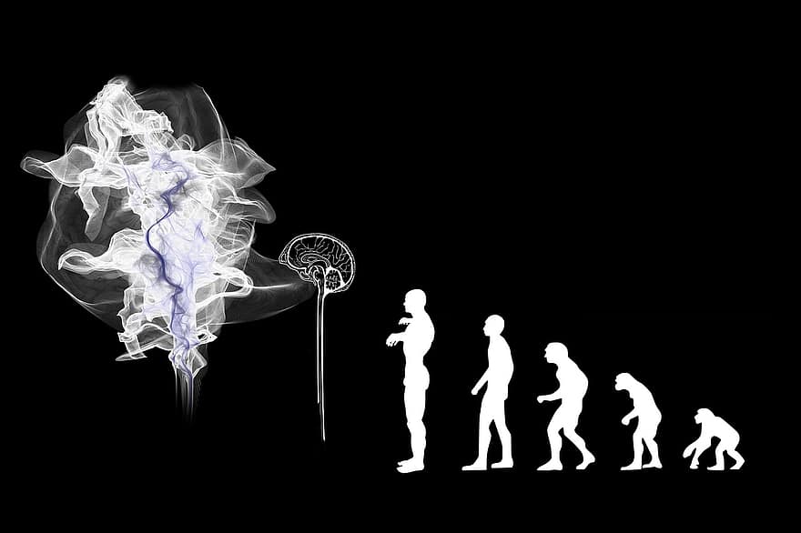 evolución, inteligencia artificial, cerebro, espíritu, Progreso, fumar, digitalización, cambio, matriz, placa de circuito impreso, tablero